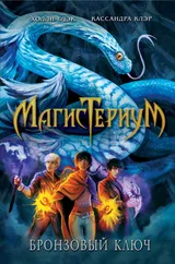 Cover of The Bronze Key