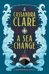 Cover of A Sea Change