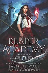 Cover of Reaper Academy