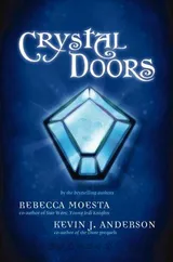 Cover of Crystal Doors