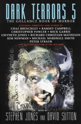 Cover of Dark Terrors 5: The Gollancz Book of Horror