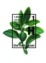 Cover of The Haiku Year