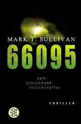 Cover of 66095