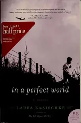 Cover of In a Perfect World
