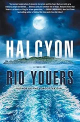 Cover of Halcyon