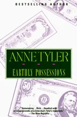 Cover of Earthly Possessions
