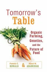 Cover of Tomorrow's Table