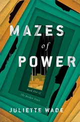 Cover of Mazes of Power