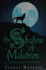 Cover of The Shadow of Malabron