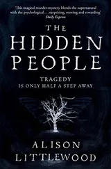 Cover of The Hidden People