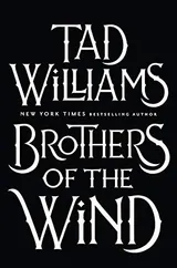 Cover of Brothers of the Wind