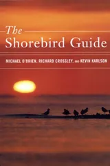 Cover of The Shorebird Guide