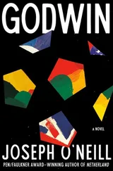 Cover of Godwin