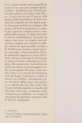 Cover of L'estate torbida