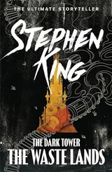 Cover of The Waste Lands
