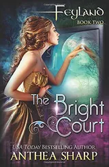 Cover of The Bright Court