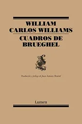 Cover of Cuadros de Brueghel
