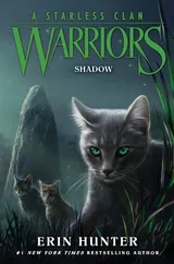 Cover of Shadow