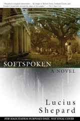 Cover of Softspoken