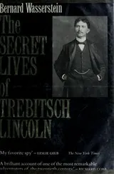 Cover of The secret lives of Trebitsch Lincoln