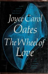Cover of The wheel of love and other stories