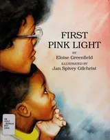 Cover of First pink light