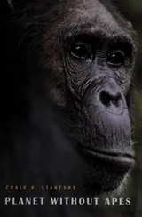 Cover of Planet without apes