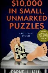 Cover of $10,000 in small, unmarked puzzles