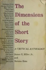 Cover of The dimensions of the short story