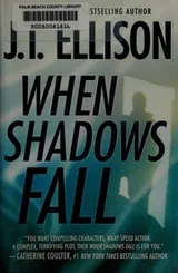 Cover of When shadows fall