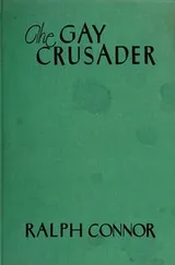Cover of The gay crusader