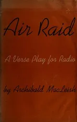 Cover of Air raid