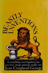Cover of Beastly inventions