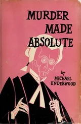 Cover of Murder made absolute