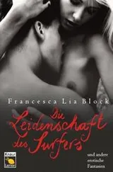 Cover of Nymph