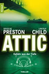 Cover of Attic