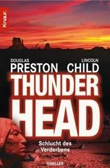 Cover of Thunderhead