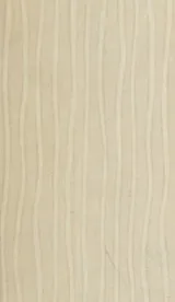 Cover of The green wall