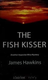 Cover of The fish kisser