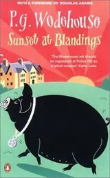 Cover of Sunset at Blandings
