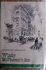 Cover of Windy McPherson's son