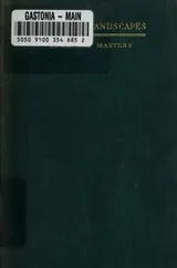Cover of Invisible landscapes