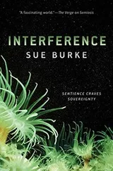 Cover of Interference
