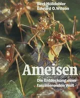 Cover of Ameisen