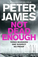 Cover of Not Dead Enough