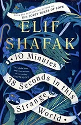 Cover of 10 Minutes 38 Seconds in This Strange World