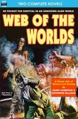Cover of Web of the Worlds & Rule Golden