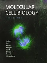 Cover of Molecular Cell Biology & Solutions Manual
