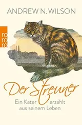 Cover of Der Streuner