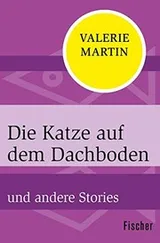Cover of Die Katze auf dem Dachboden